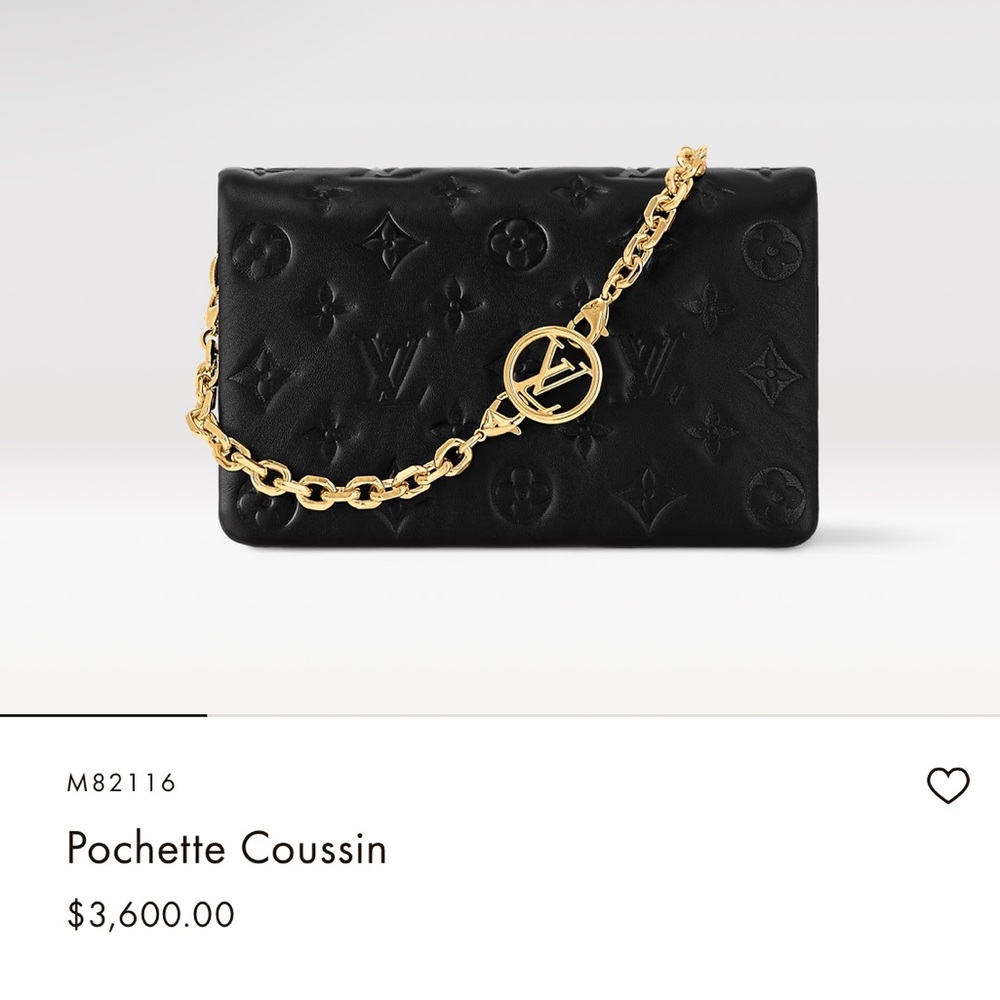 NWOT Louis Vuitton Pochette Coussin